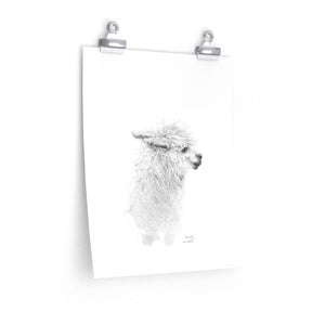 SANDY Llama- Art Paper Print