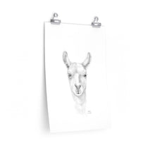 CAITLIN Llama- Art Paper Print