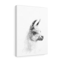 PEPPER Llama - Art Canvas