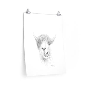 SAREN Llama- Art Paper Print