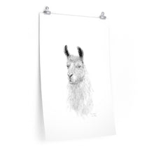 GRAYSON Llama- Art Paper Print