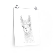 CHLOE Llama- Art Paper Print