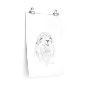MAX Llama- Art Paper Print
