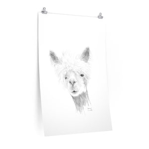 ALLISON Llama- Art Paper Print