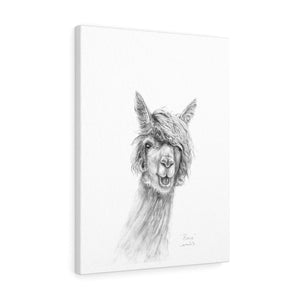 RENEE Llama - Art Canvas
