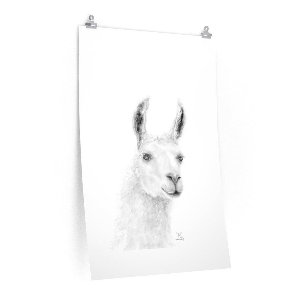 JILL Llama- Art Paper Print