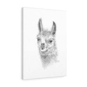 SARA Llama - Art Canvas