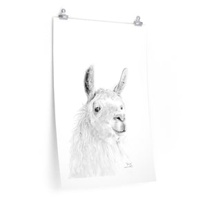 JAMES Llama- Art Paper Print