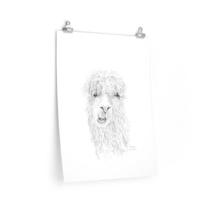 BROOKE Llama- Art Paper Print