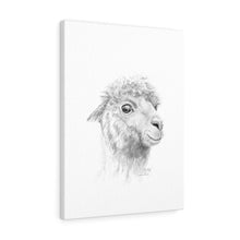 PHILLIP Llama - Art Canvas