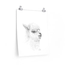 BEN Llama- Art Paper Print