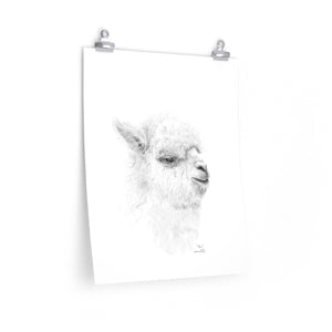 BEN Llama- Art Paper Print