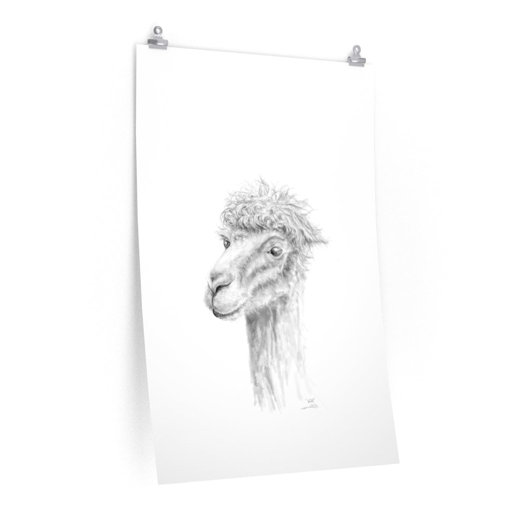 WILL Llama- Art Paper Print