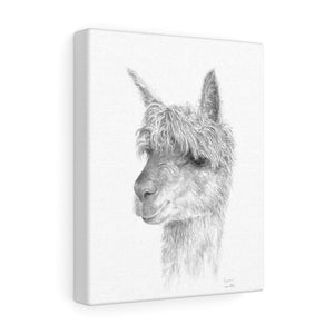 JAZOARA Llama - Art Canvas