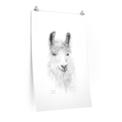 BRITTANY Llama- Art Paper Print