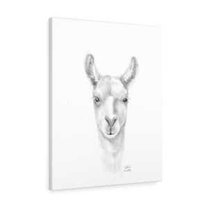 CAITLIN Llama - Art Canvas