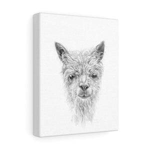 SAWYER Llama - Art Canvas