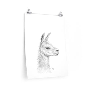 TIFFIANY Llama- Art Paper Print