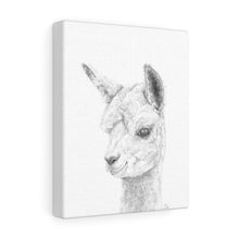 SKY Llama - Art Canvas