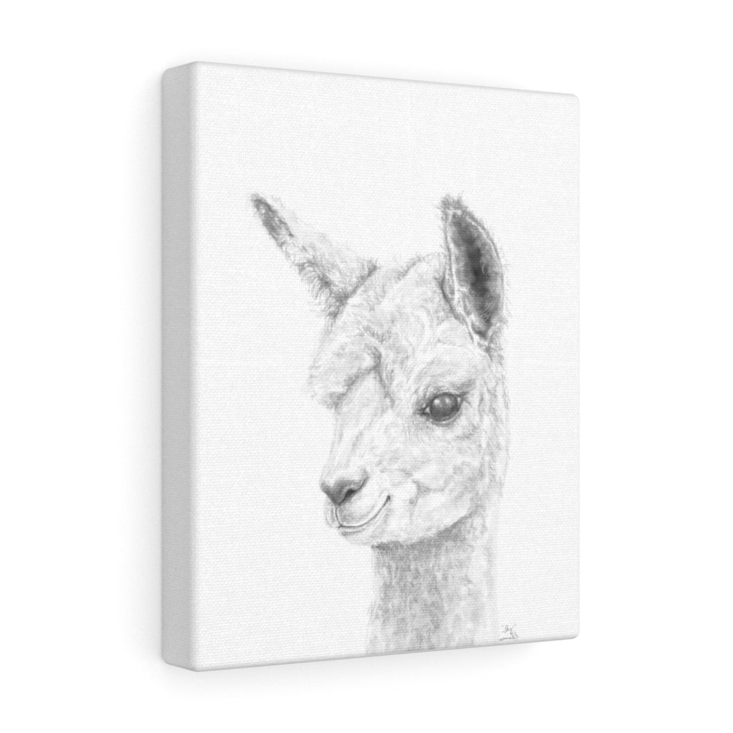 SKY Llama - Art Canvas