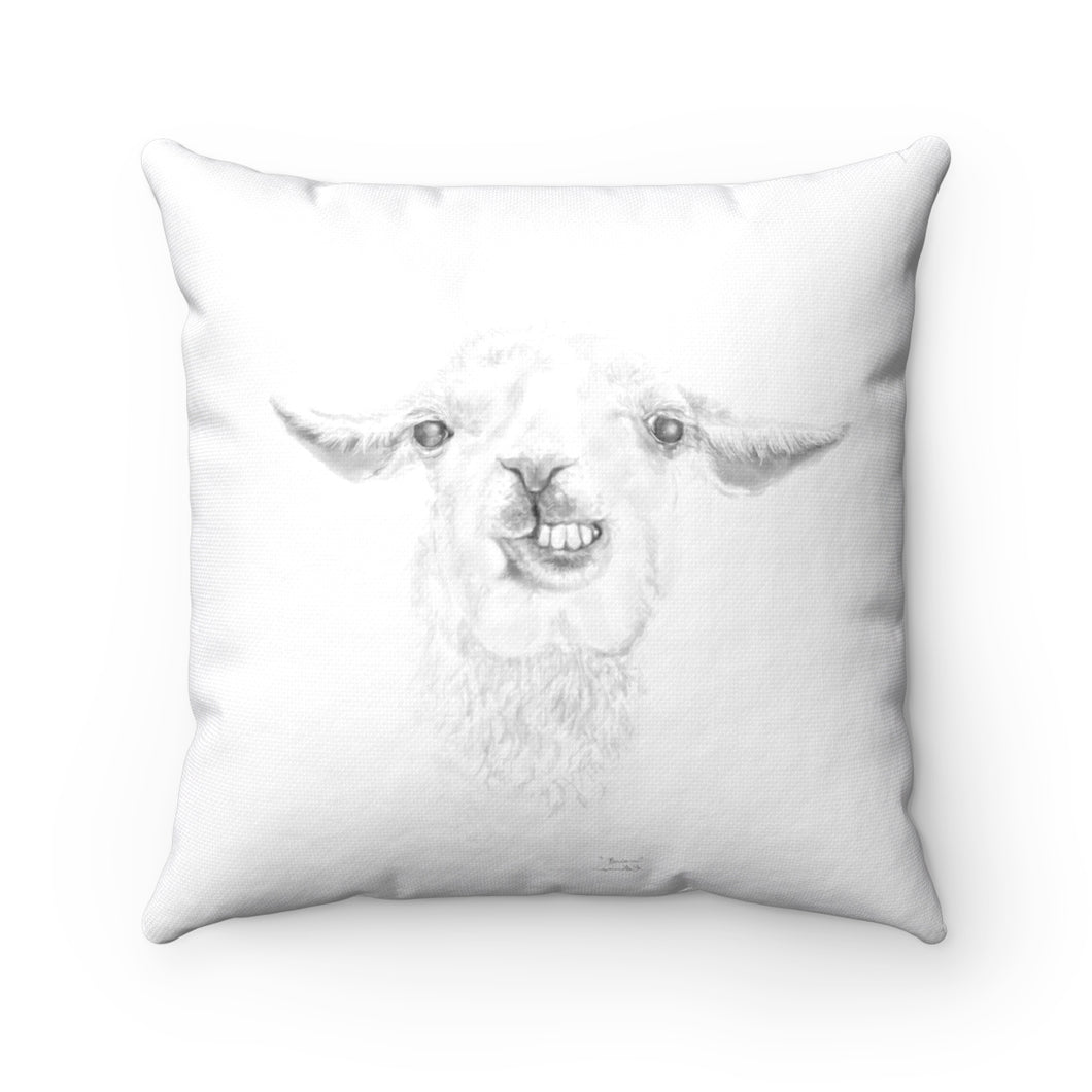 Llama Pillow - BRIAN