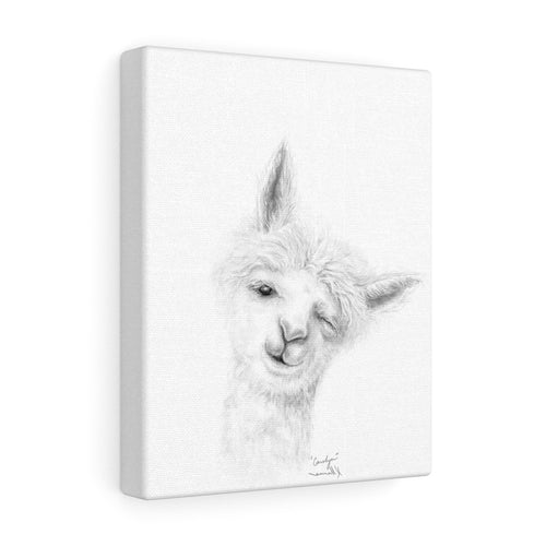 CAROLYN Llama - Art Canvas