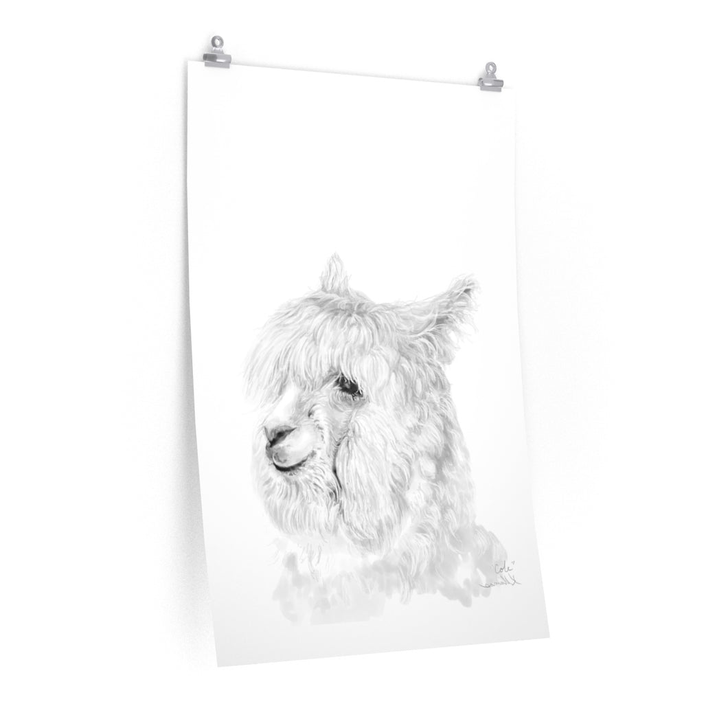 COLE Llama- Art Paper Print