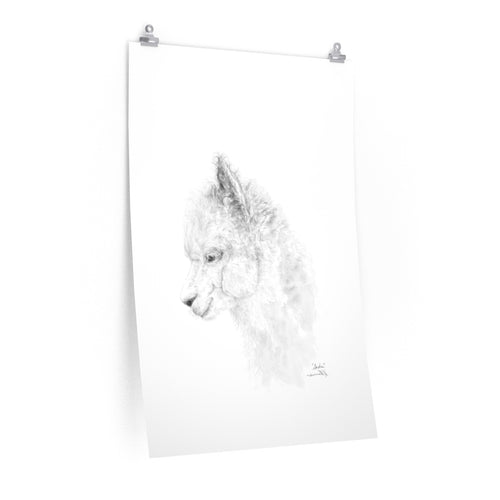 SASHA Llama- Art Paper Print