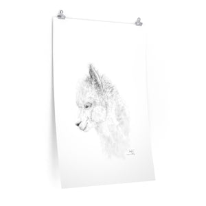 SASHA Llama- Art Paper Print