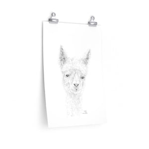 ELLA Llama- Art Paper Print