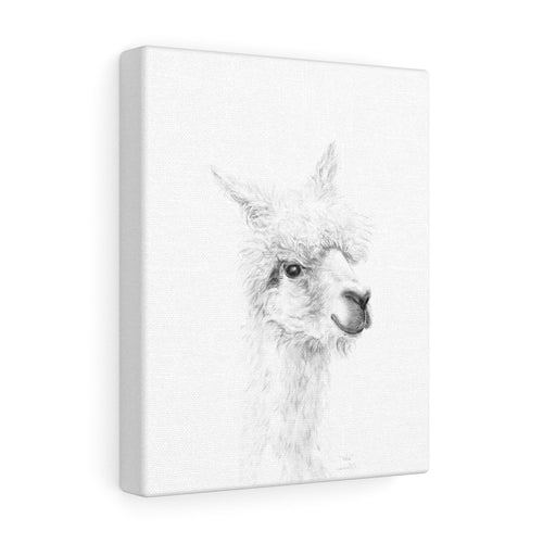 WES Llama - Art Canvas