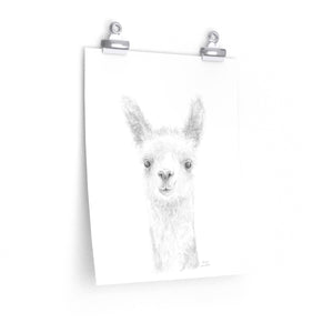 MARCIE Llama- Art Paper Print