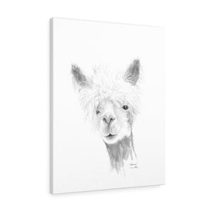 ALLISON Llama - Art Canvas