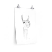AMY Llama- Art Paper Print
