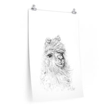 HILARY Llama- Art Paper Print