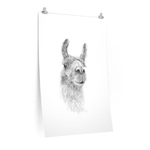 ADREA Llama- Art Paper Print