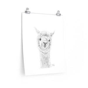 HANNAH Llama- Art Paper Print
