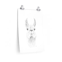 ZAILAH Llama- Art Paper Print