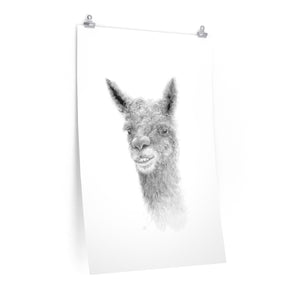 TATE Llama- Art Paper Print