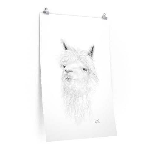 ASHA Llama- Art Paper Print