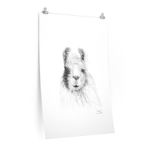 SUSAN Llama- Art Paper Print