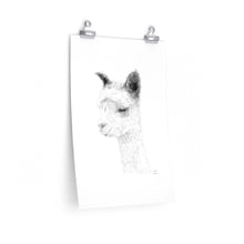 ANGELA Llama- Art Paper Print