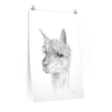 JAZOARA Llama- Art Paper Print