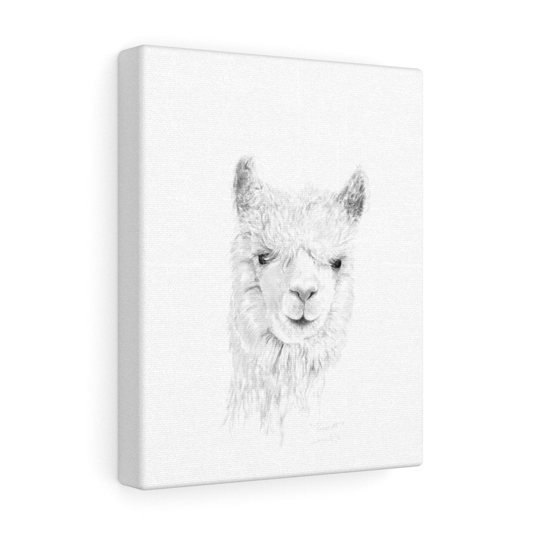 PRESCOTT Llama - Art Canvas