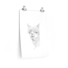 PRIYA Llama- Art Paper Print