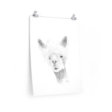 ALLISON Llama- Art Paper Print