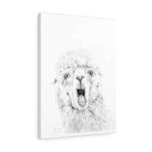 BRENNAN Llama - Art Canvas