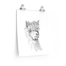 CASSIDY Llama- Art Paper Print