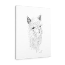 Gracelyn Llama - Art Canvas