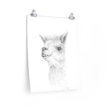 NOAH Llama- Art Paper Print